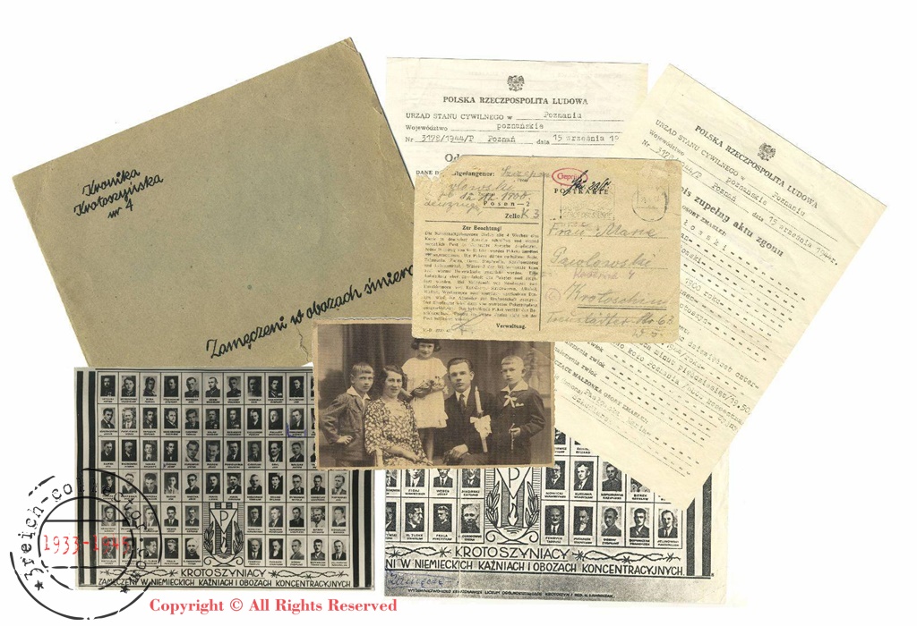 Concentration camps essay